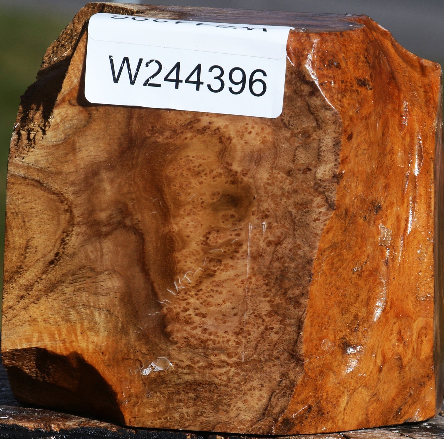 Teak Burl Live Edge Bowl Blank