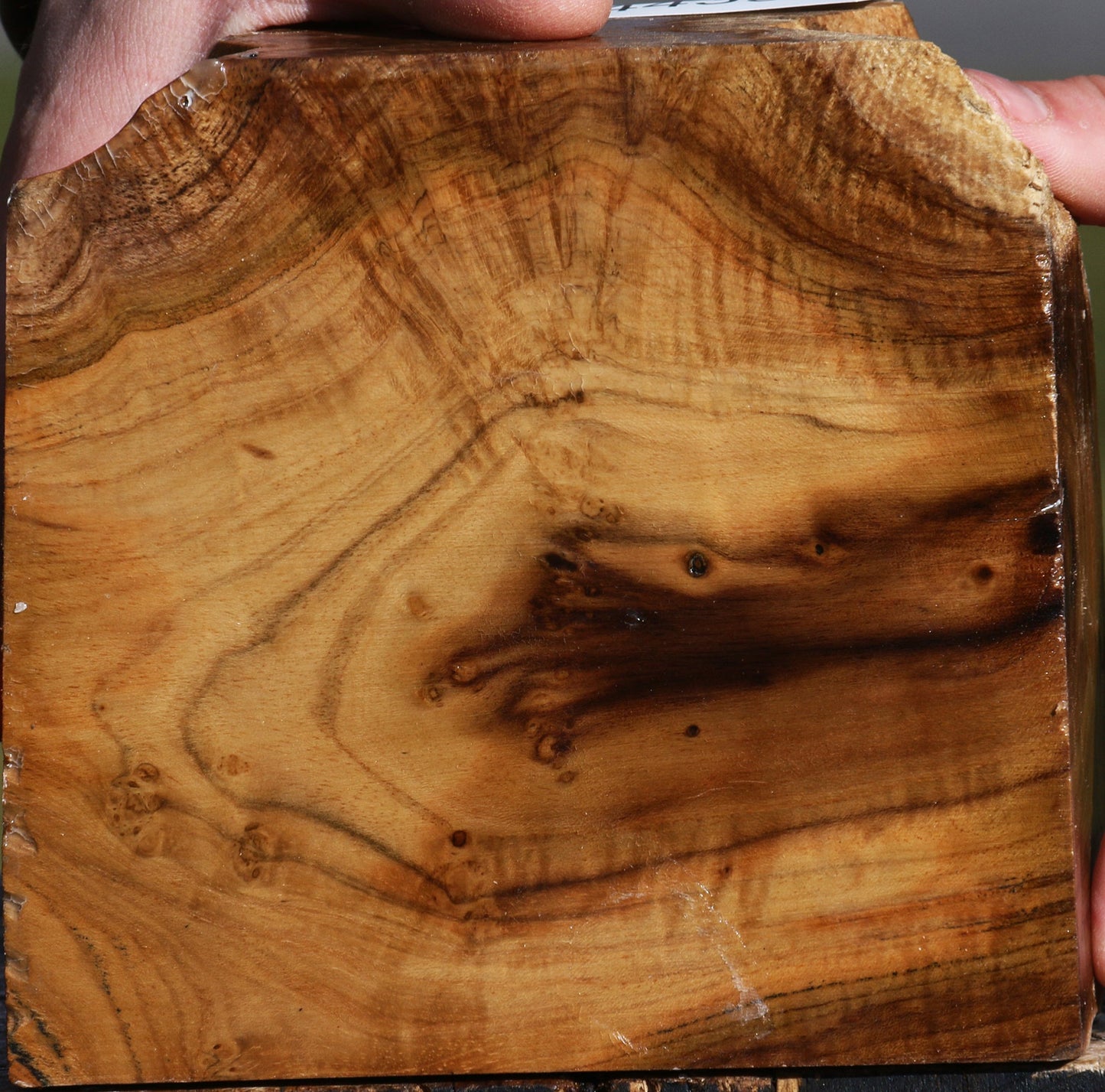 Teak Burl Live Edge Bowl Blank