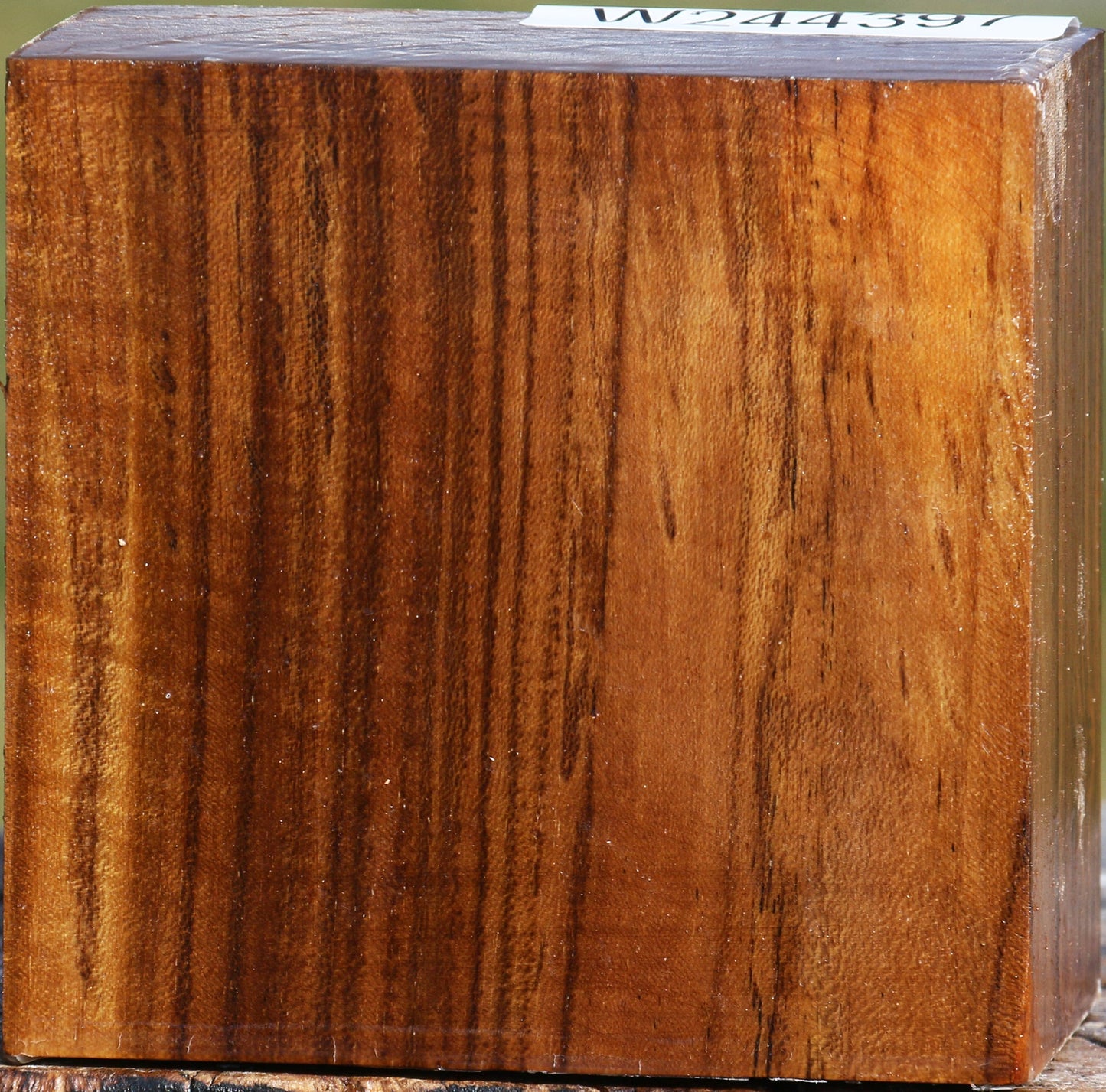 Figured Teak Bowl Blank