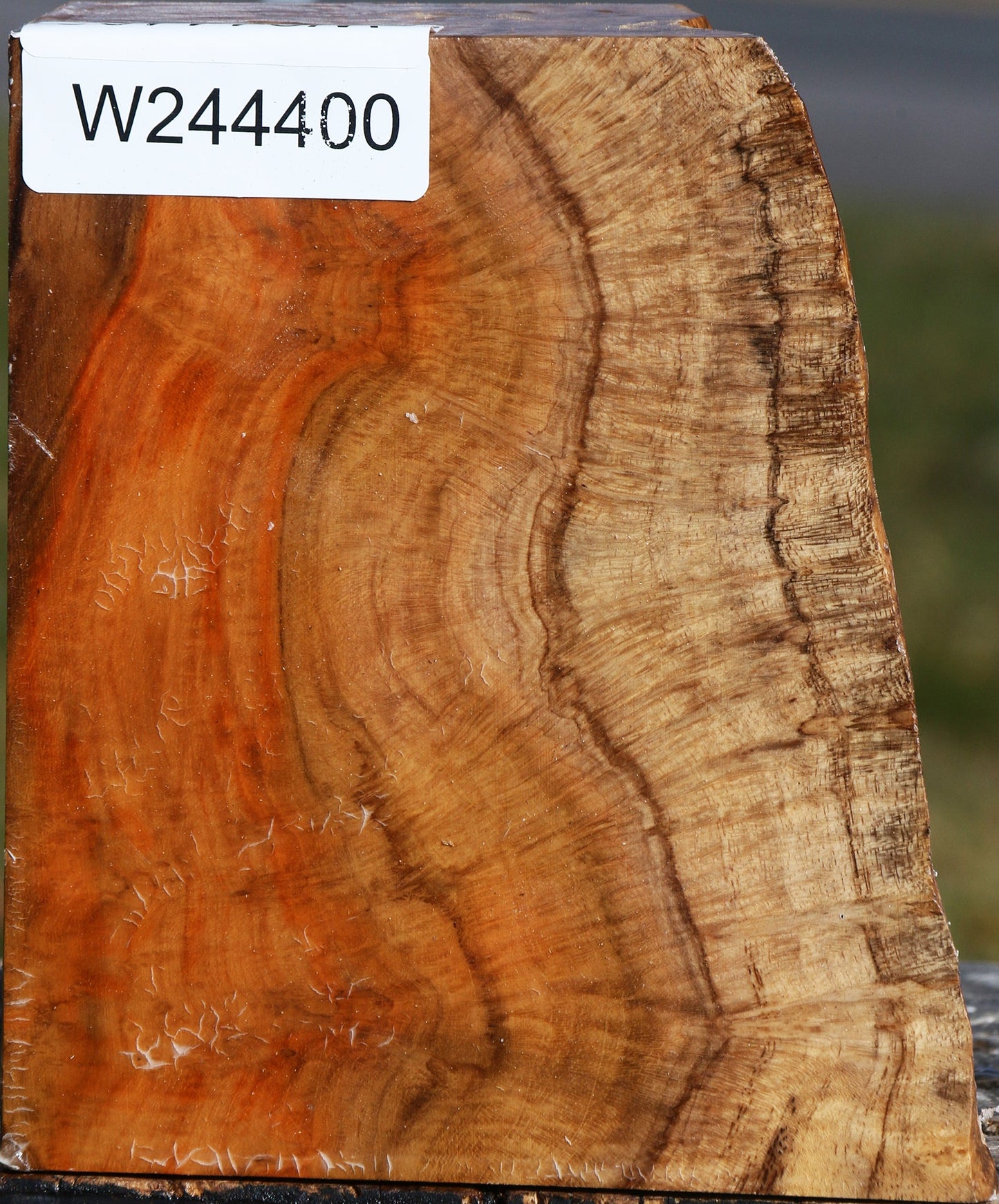 Teak Burl Live Edge Turning Blank