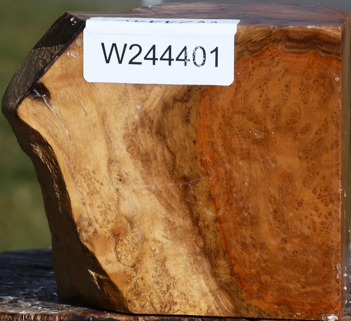 Teak Burl Live Edge Turning Blank
