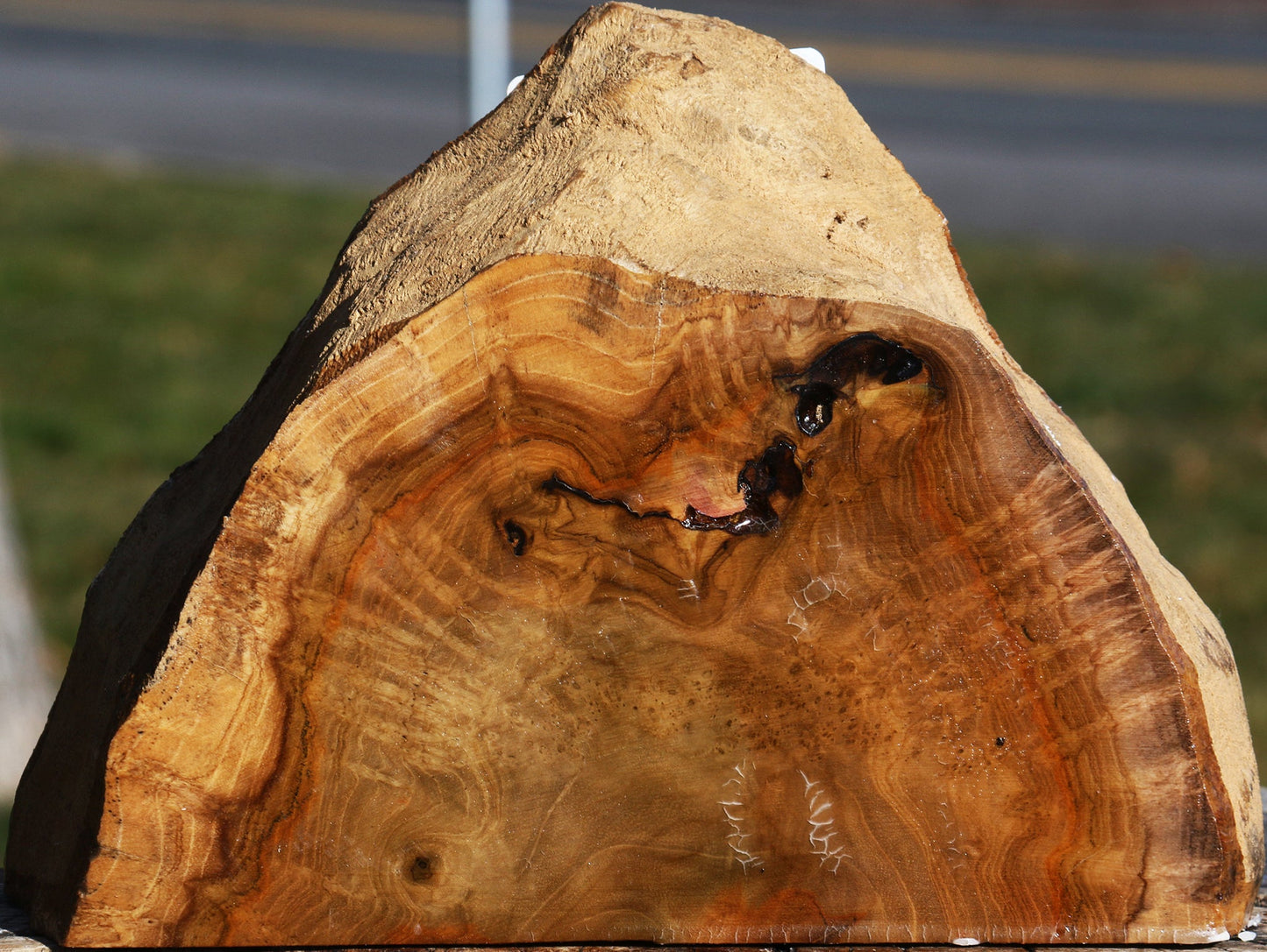 Teak Burl Live Edge Turning Blank