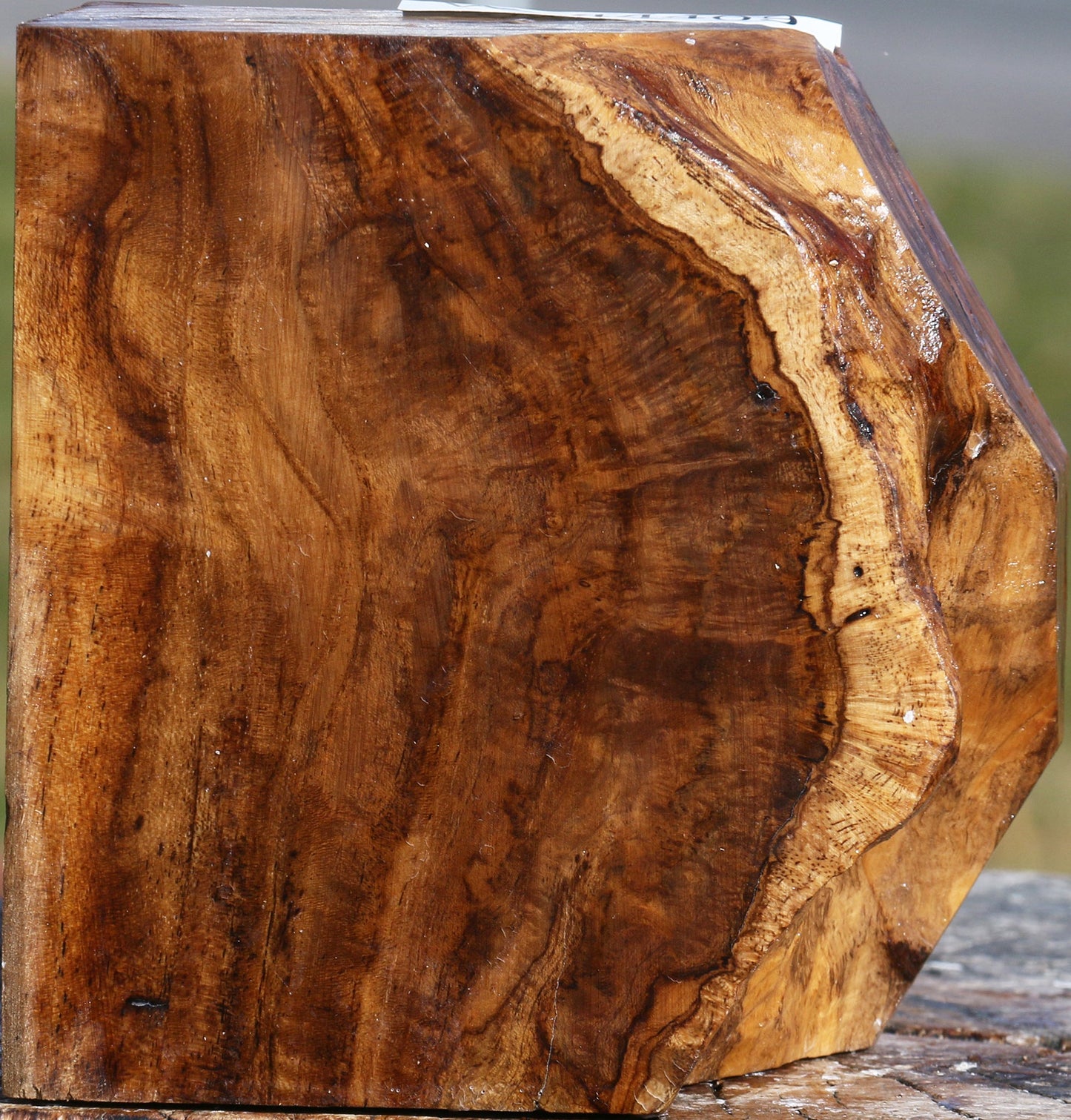 Figured Teak Live Edge Turning Blank