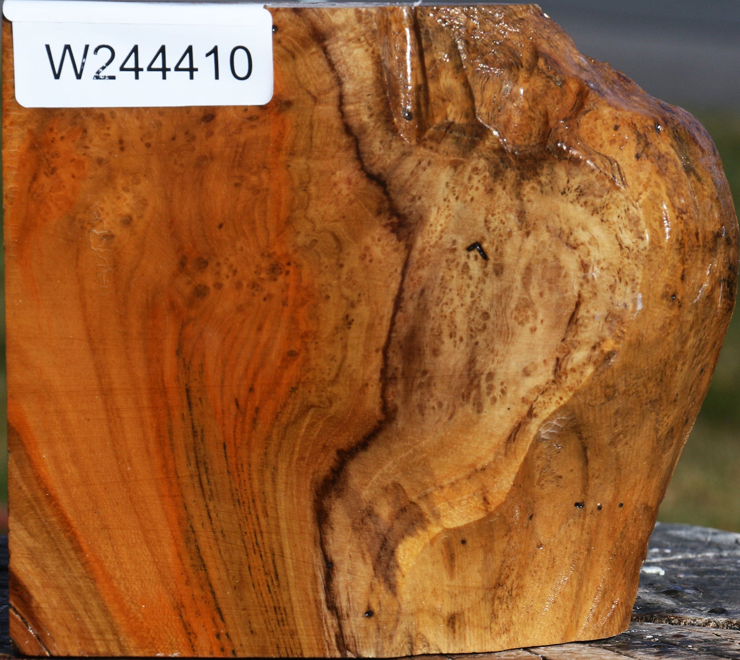 Extra Fancy Teak Live Edge Turning Blank