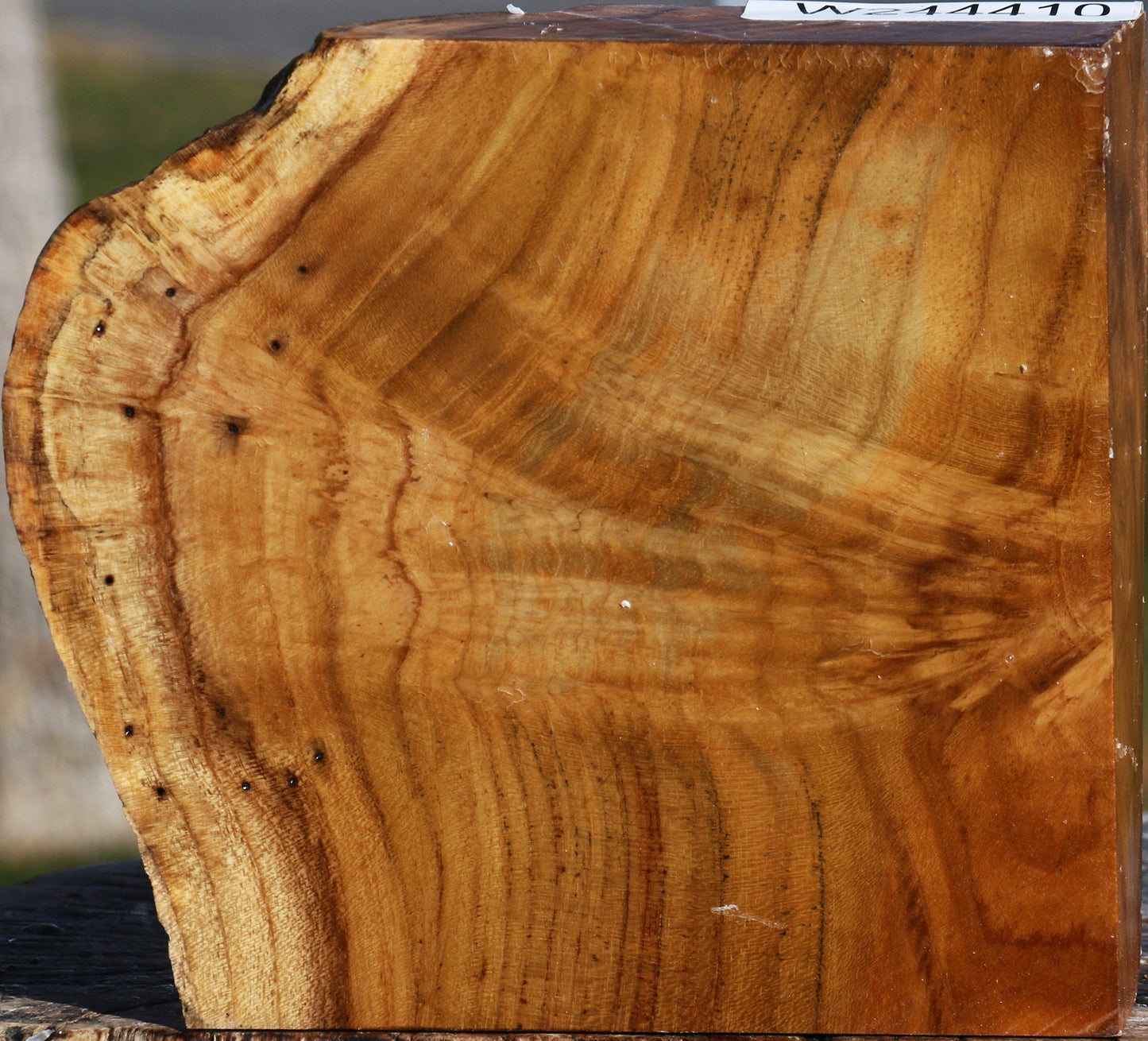 Extra Fancy Teak Live Edge Turning Blank