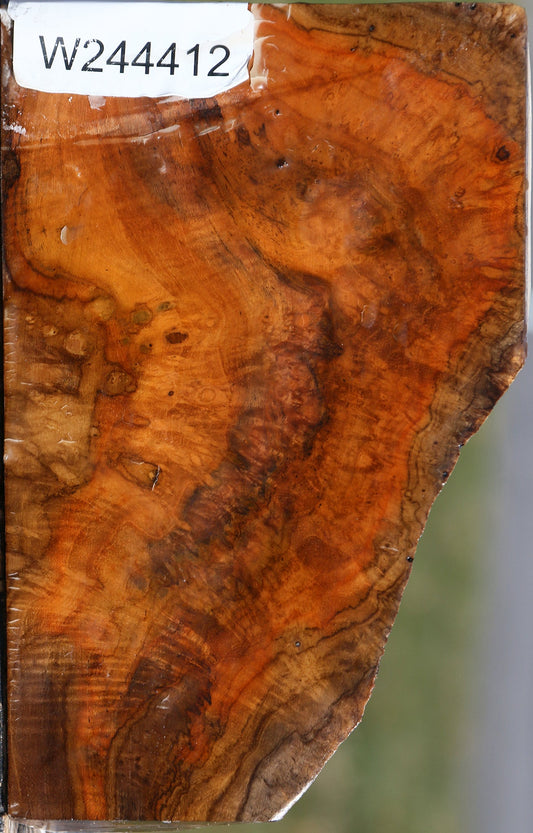 Teak Burl Live Edge Turning Blank