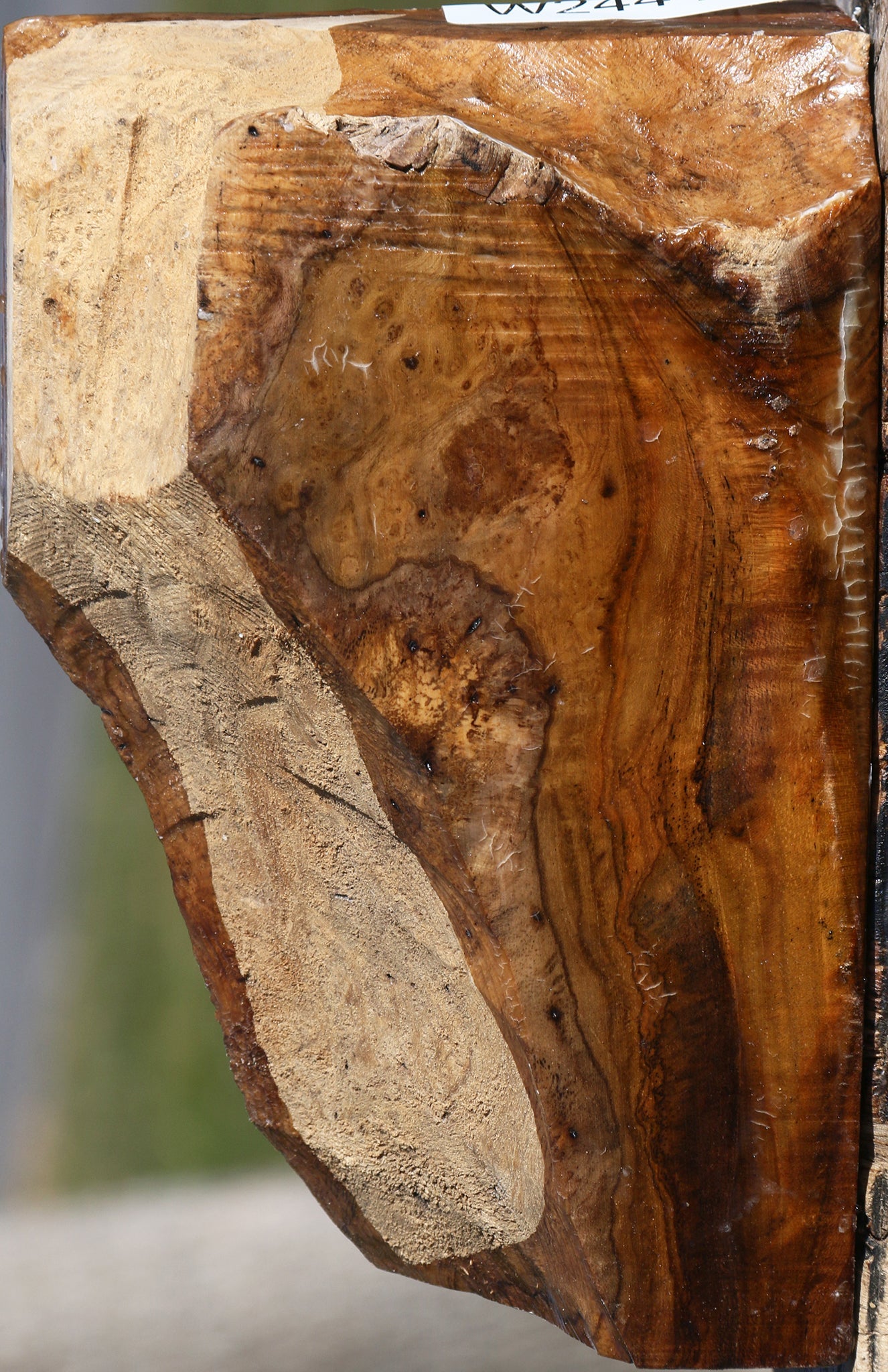 Teak Burl Live Edge Turning Blank