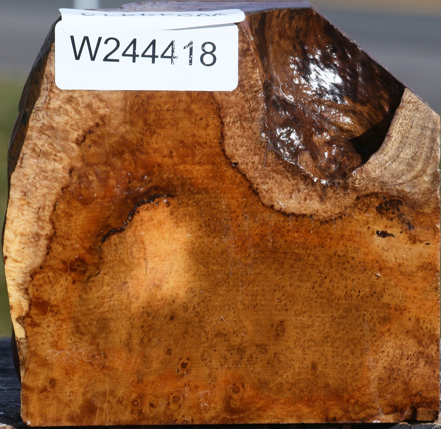 Teak Burl Live Edge Bowl Blank