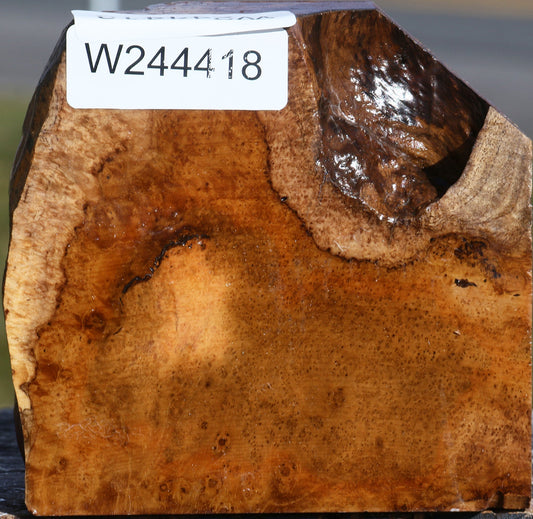 Teak Burl Live Edge Bowl Blank