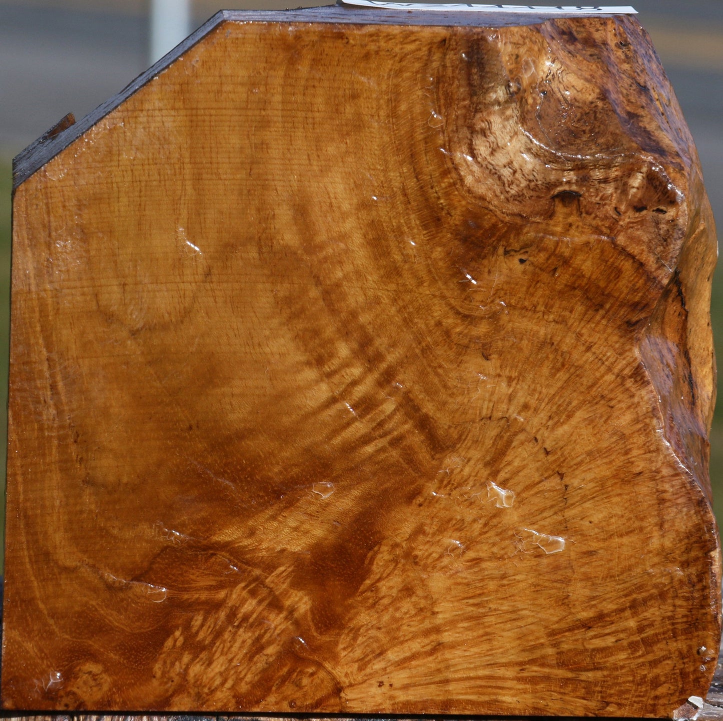 Teak Burl Live Edge Bowl Blank