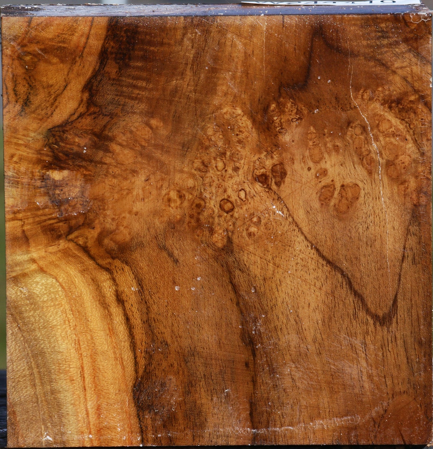 Teak Burl Bowl Blank