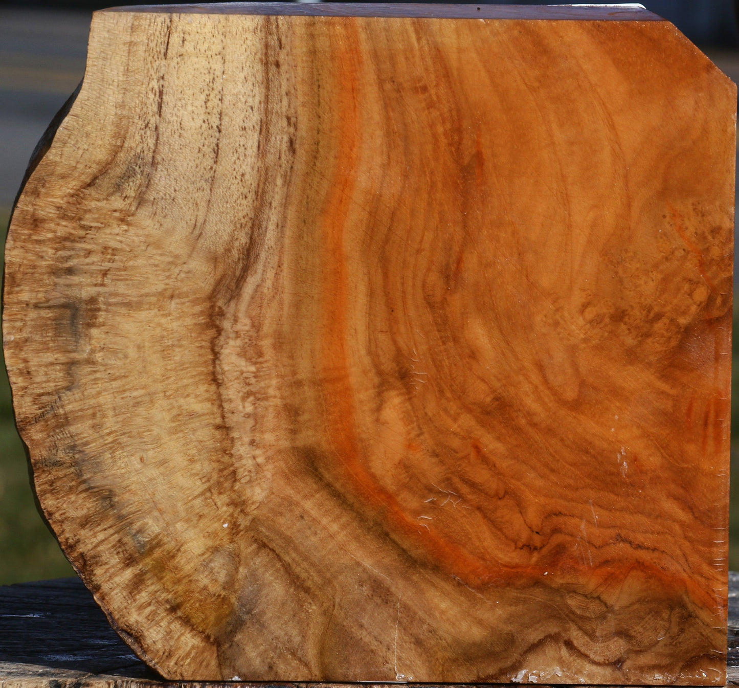 Teak Burl Live Edge Bowl Blank