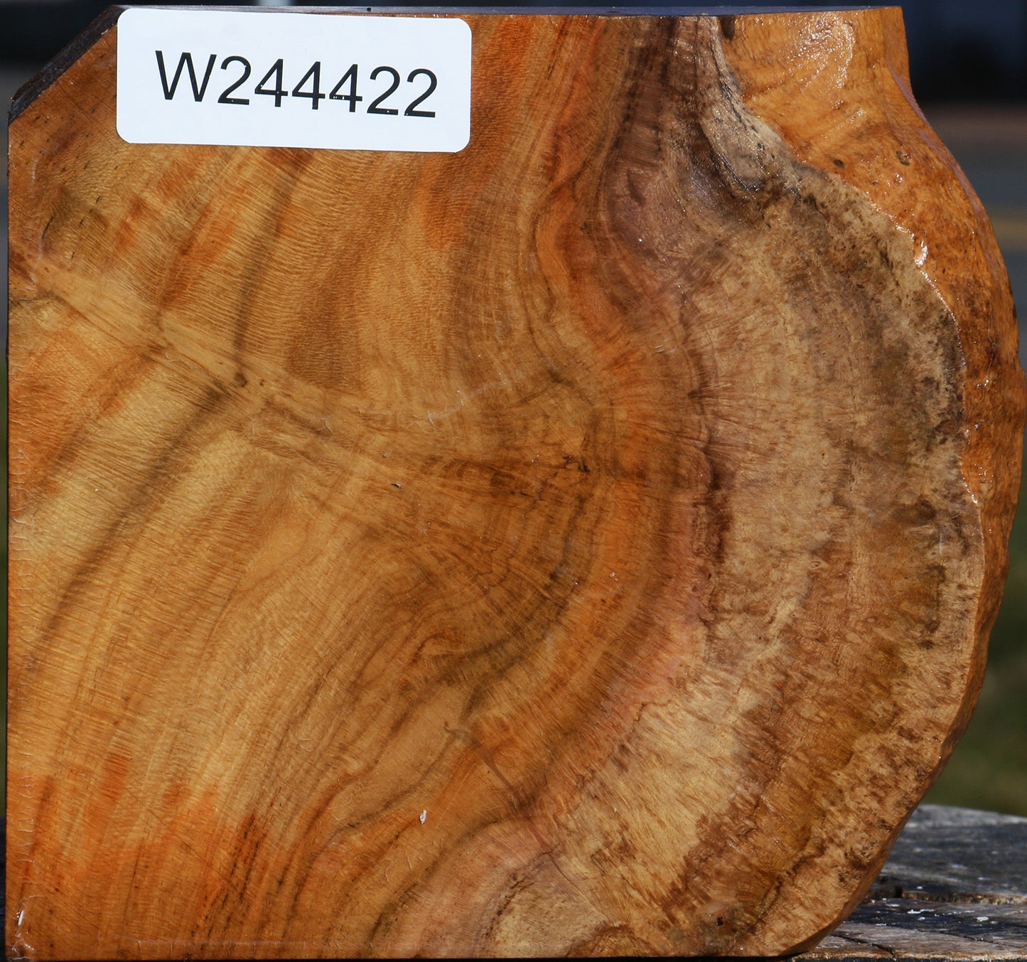 Teak Burl Live Edge Bowl Blank