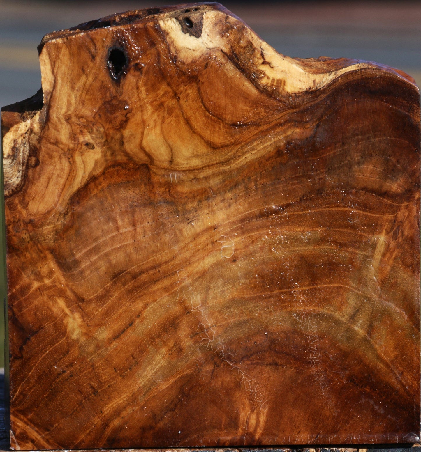 Extra Fancy Teak Live Edge Bowl Blank