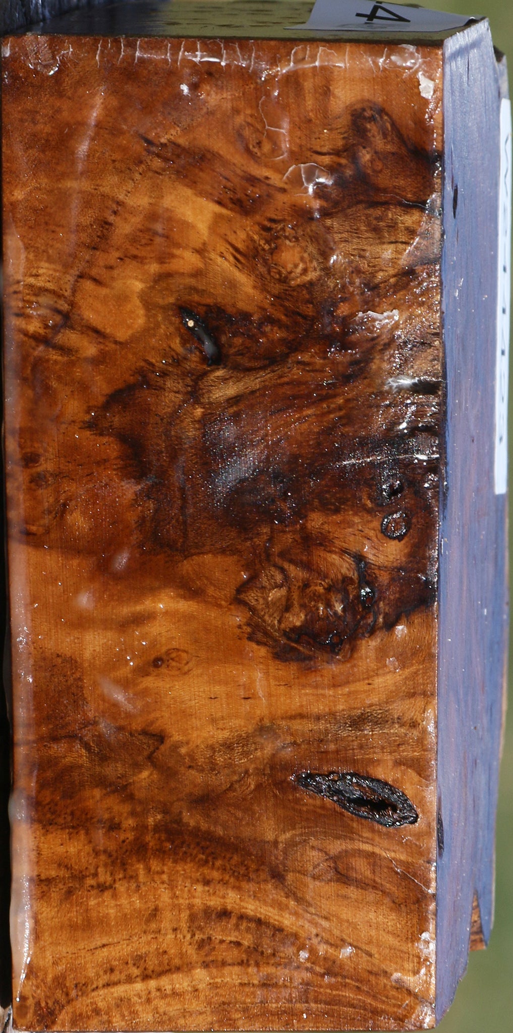 Extra Fancy Teak Live Edge Bowl Blank