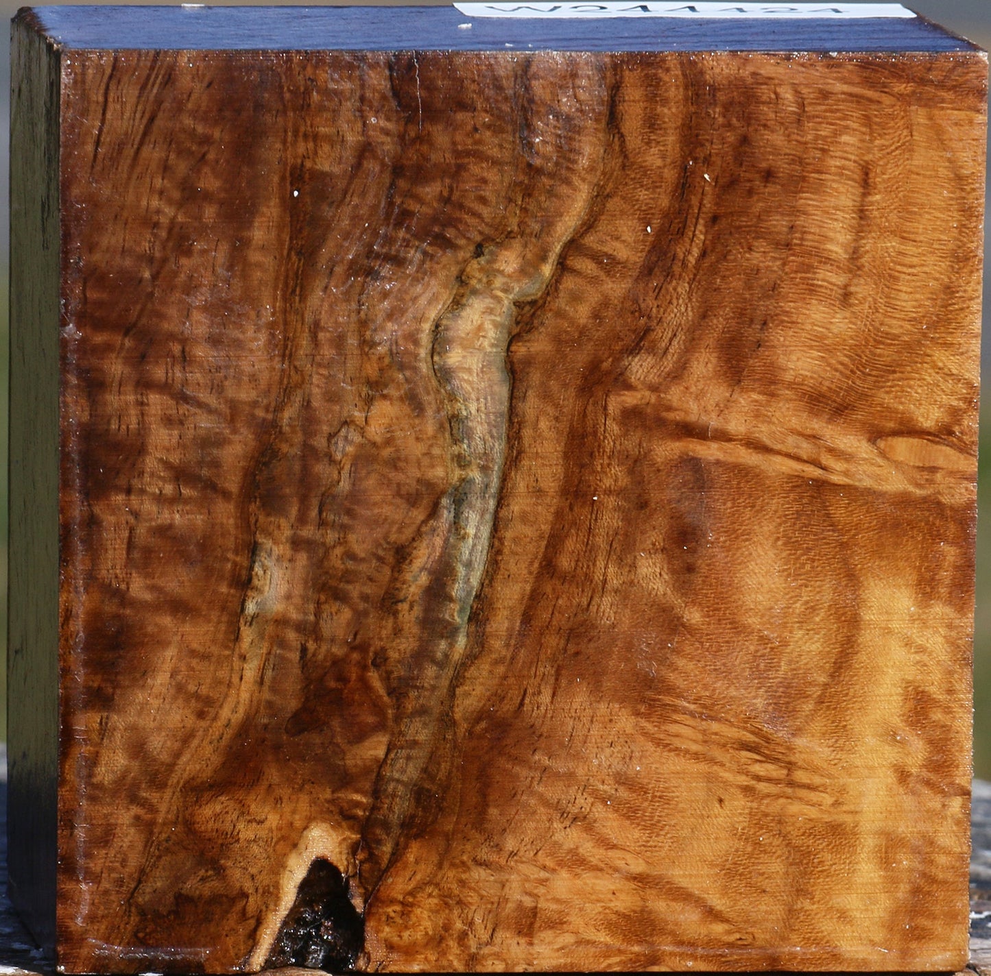 Extra Fancy Teak Bowl Blank
