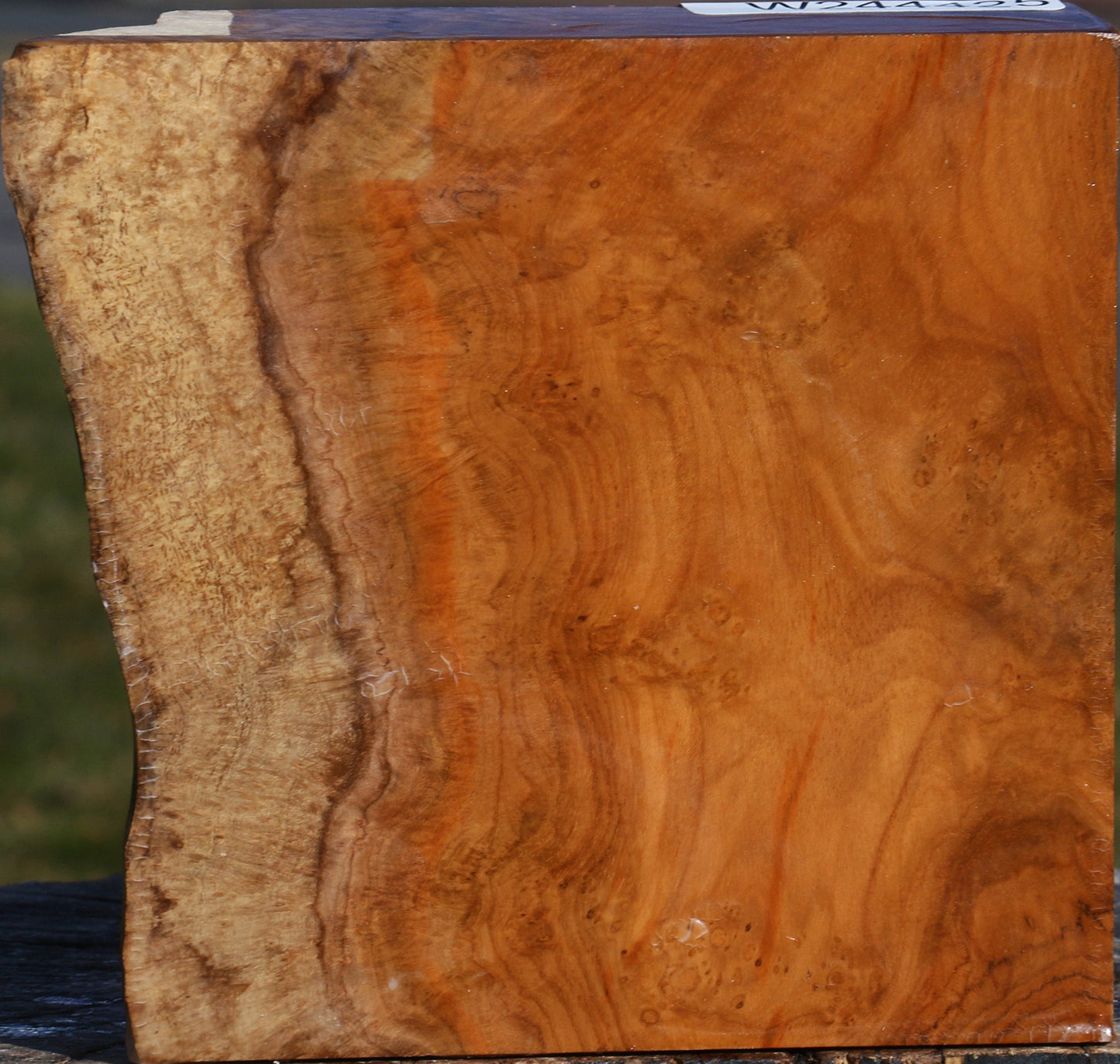 Teak Burl Live Edge Bowl Blank