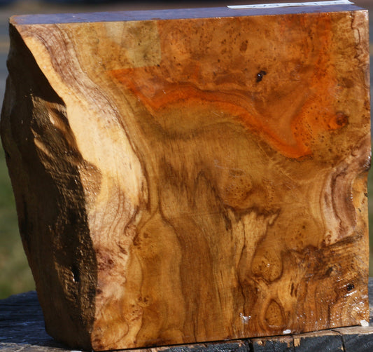 Extra Fancy Teak Live Edge Bowl Blank