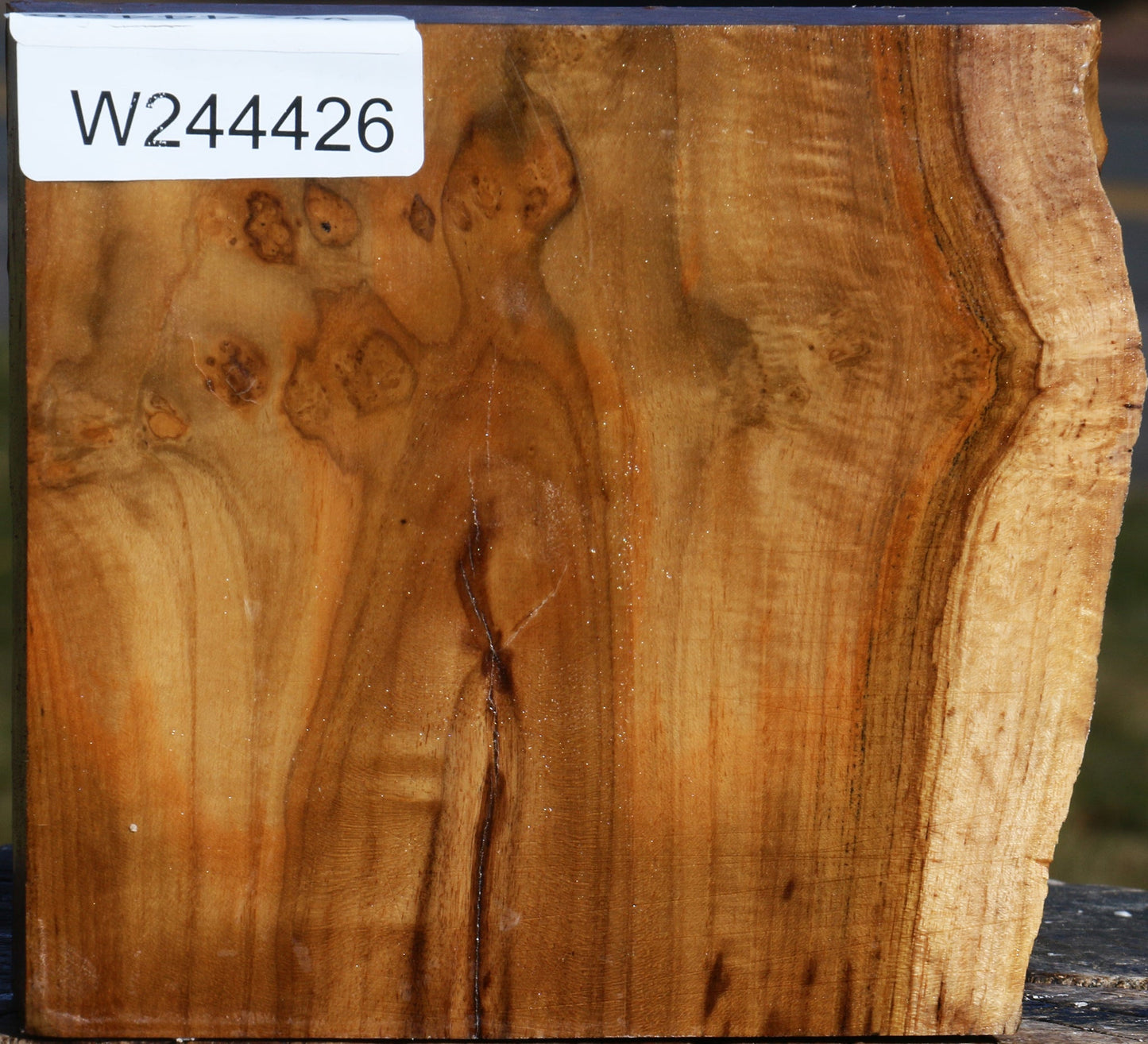 Extra Fancy Teak Live Edge Bowl Blank