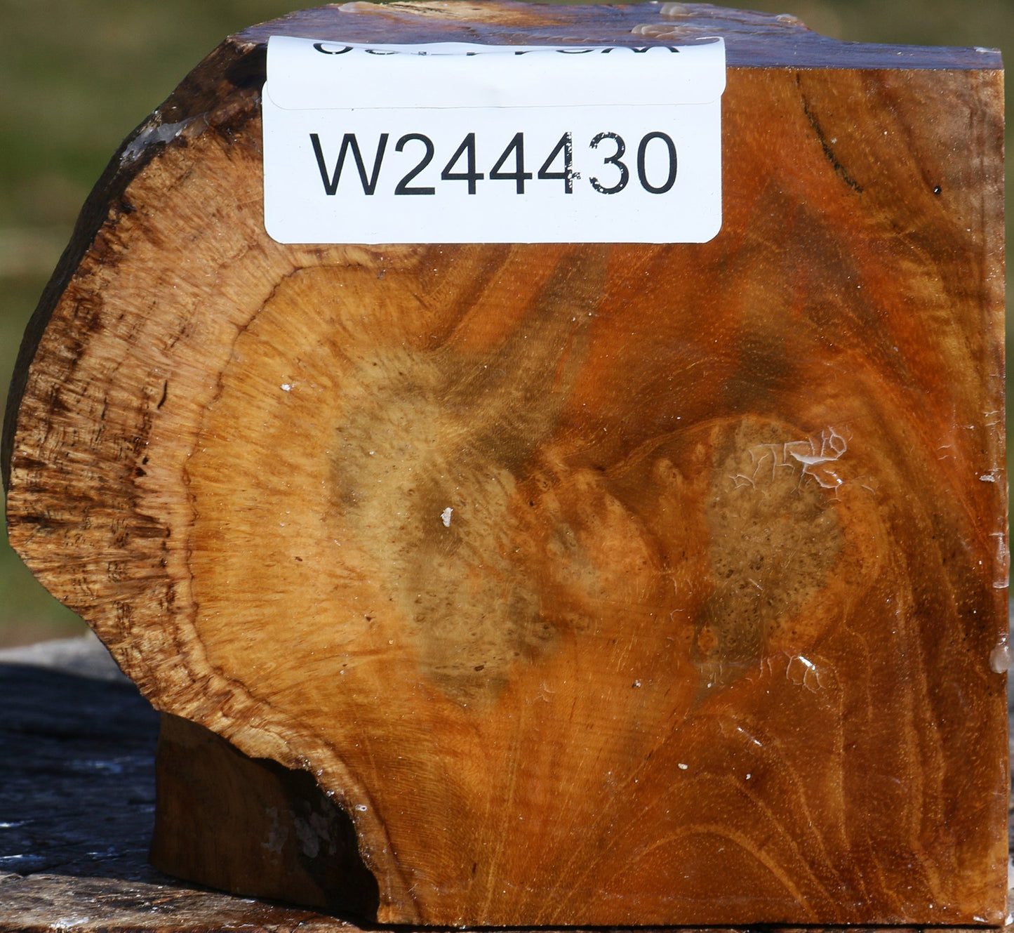 Teak Burl Live Edge Bowl Blank