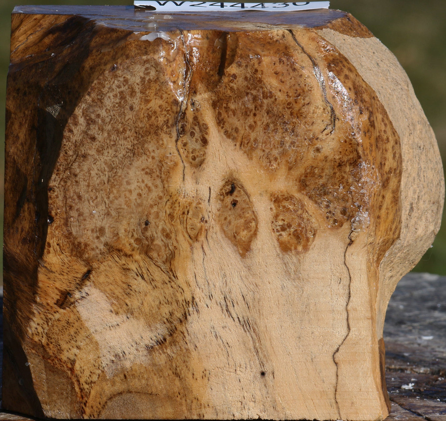 Teak Burl Live Edge Bowl Blank