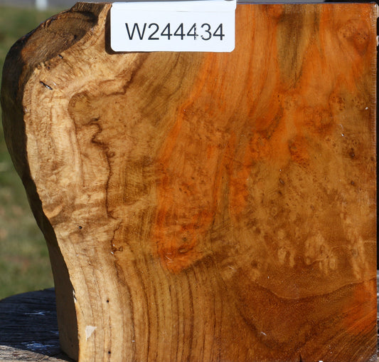 Extra Fancy Teak Live Edge Bowl Blank