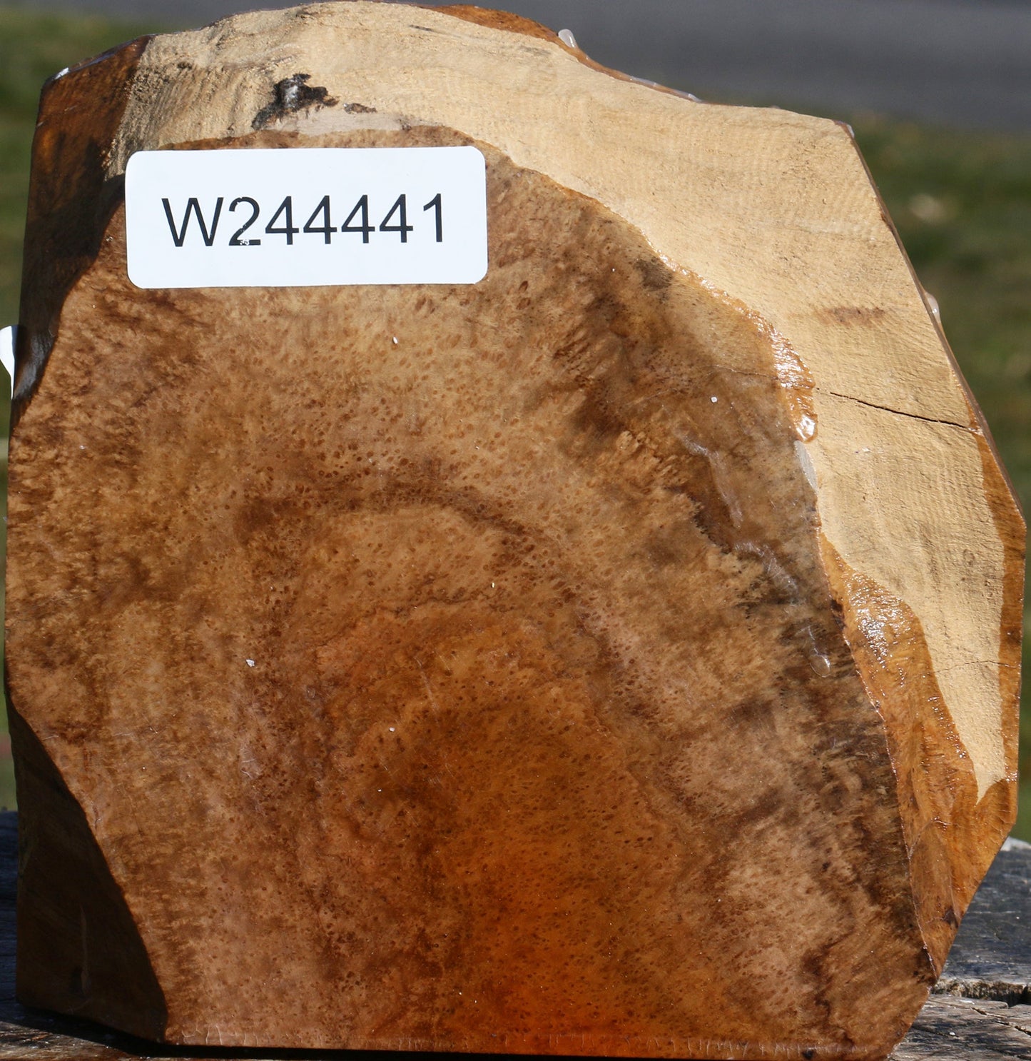 Teak Burl Live Edge Bowl Blank