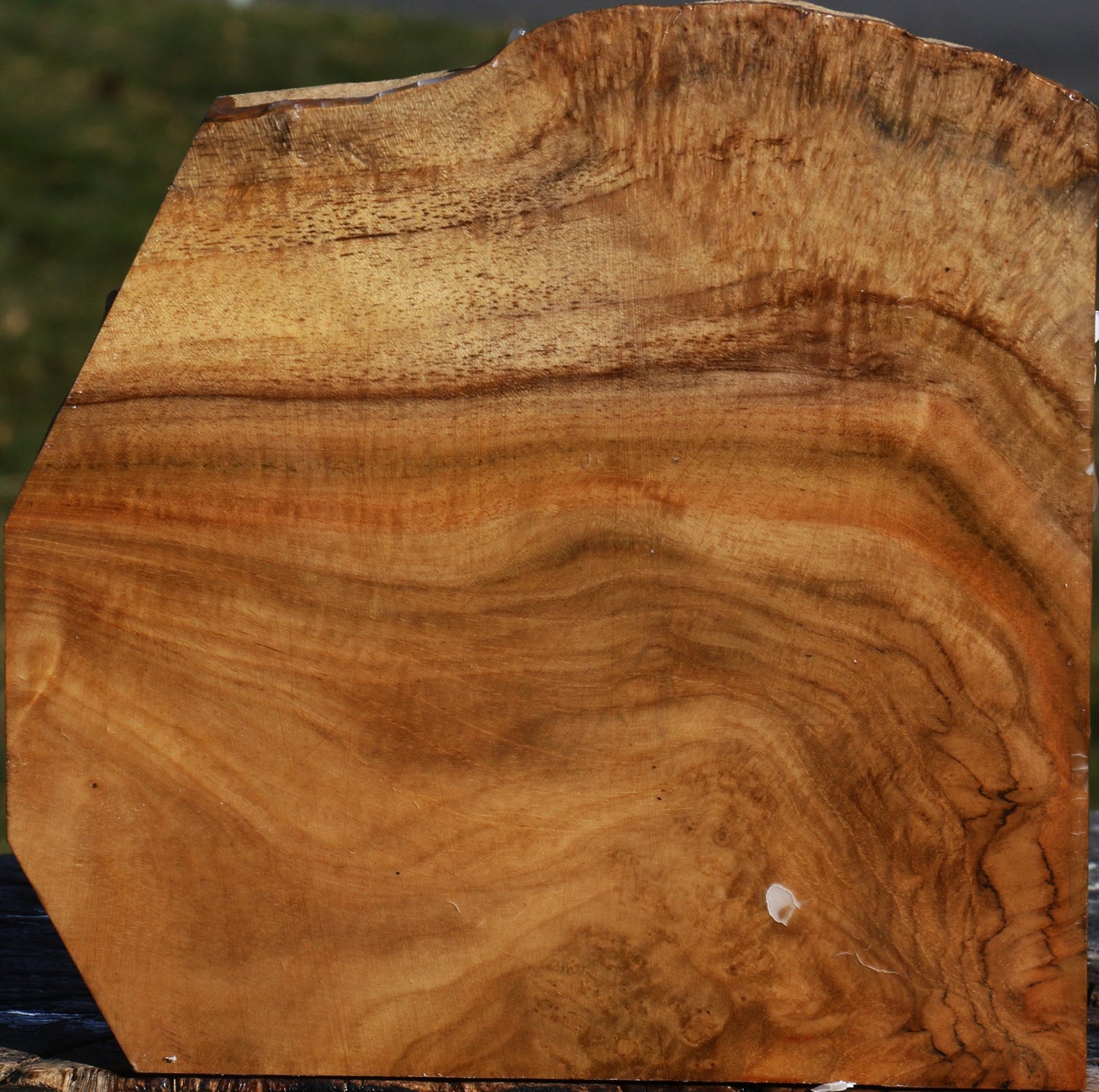 Teak Burl Live Edge Bowl Blank