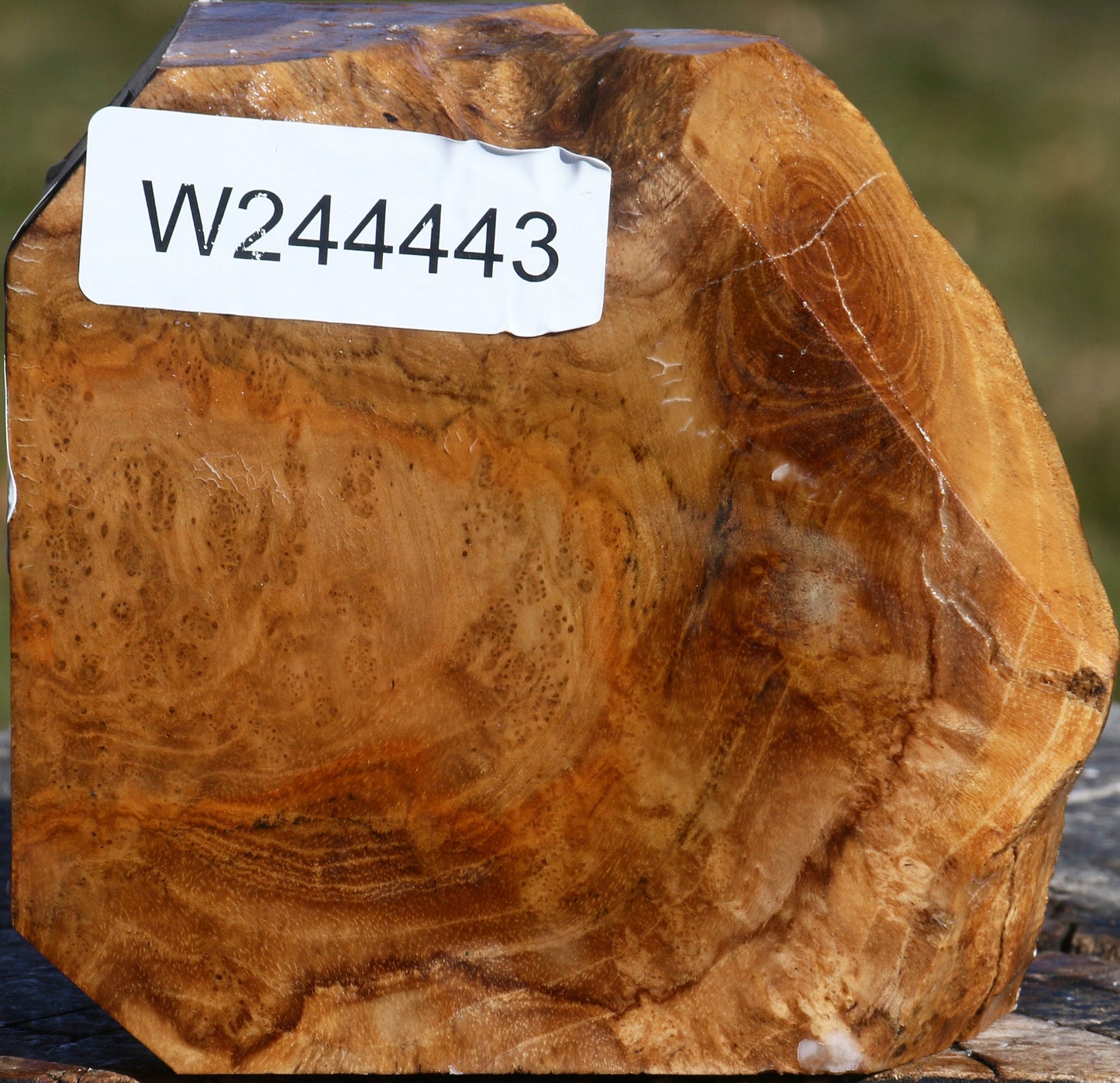 Teak Burl Live Edge Bowl Blank
