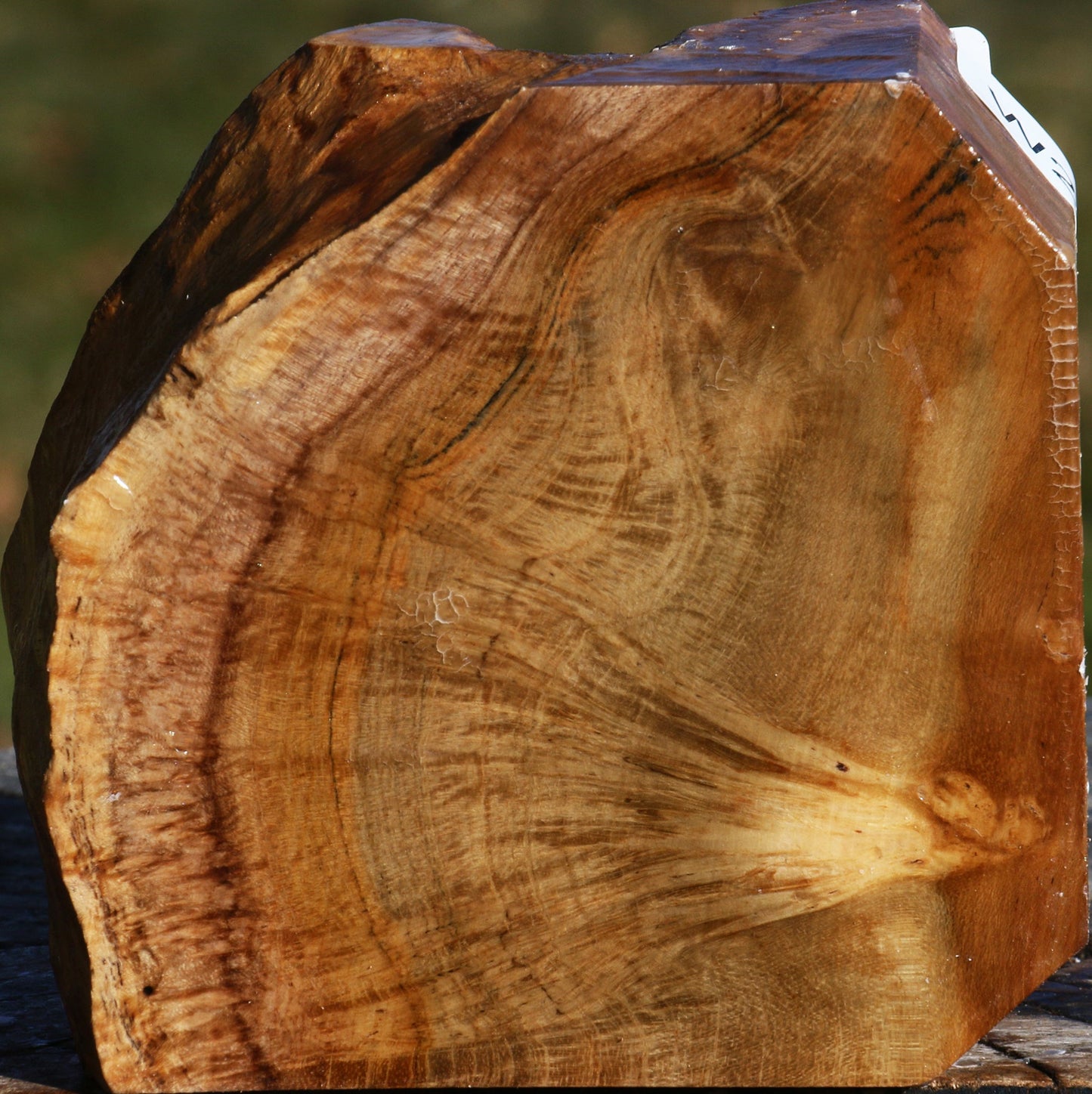 Teak Burl Live Edge Bowl Blank