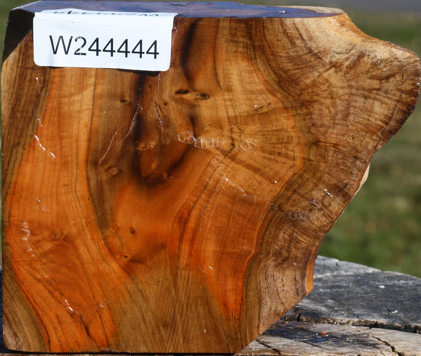 Extra Fancy Teak Live Edge Turning Blank