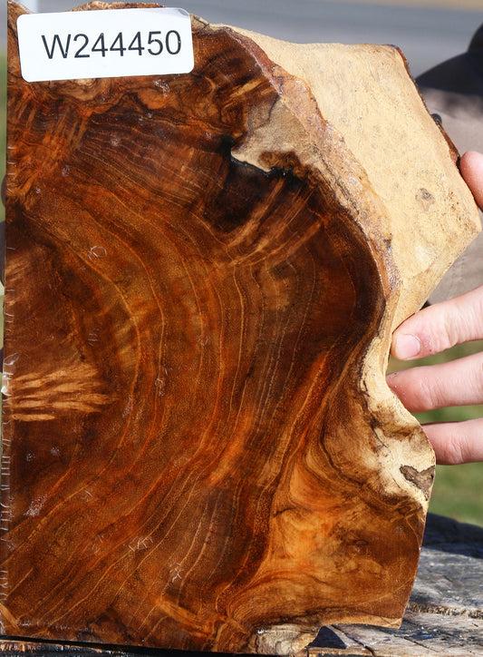 Extra Fancy Teak Live Edge Turning Blank