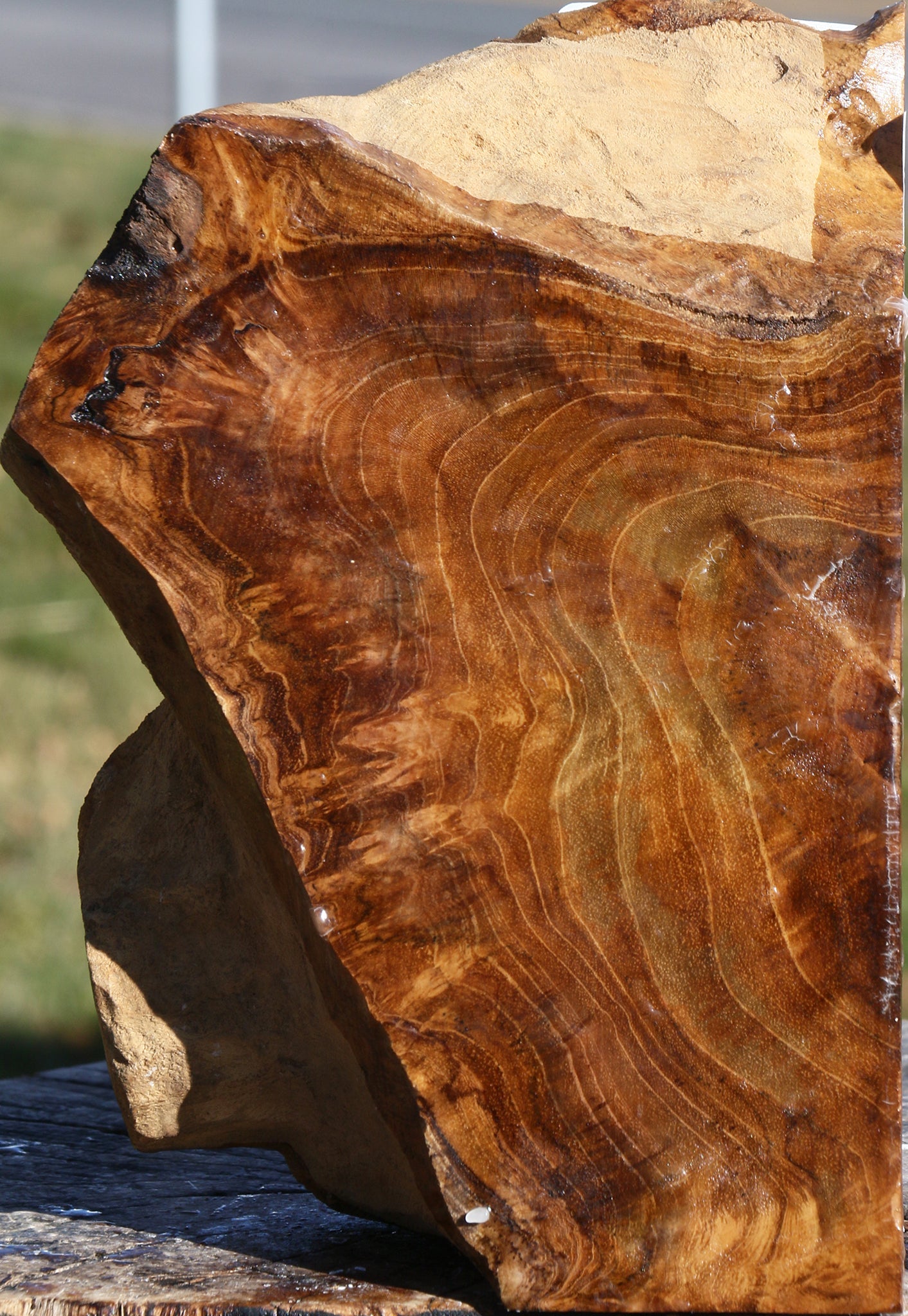 Extra Fancy Teak Live Edge Turning Blank