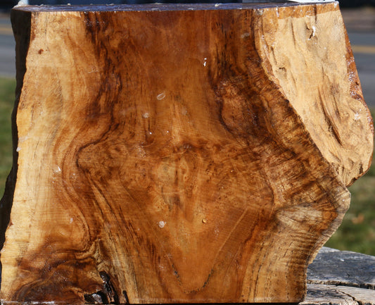 Extra Fancy Teak Live Edge Bowl Blank