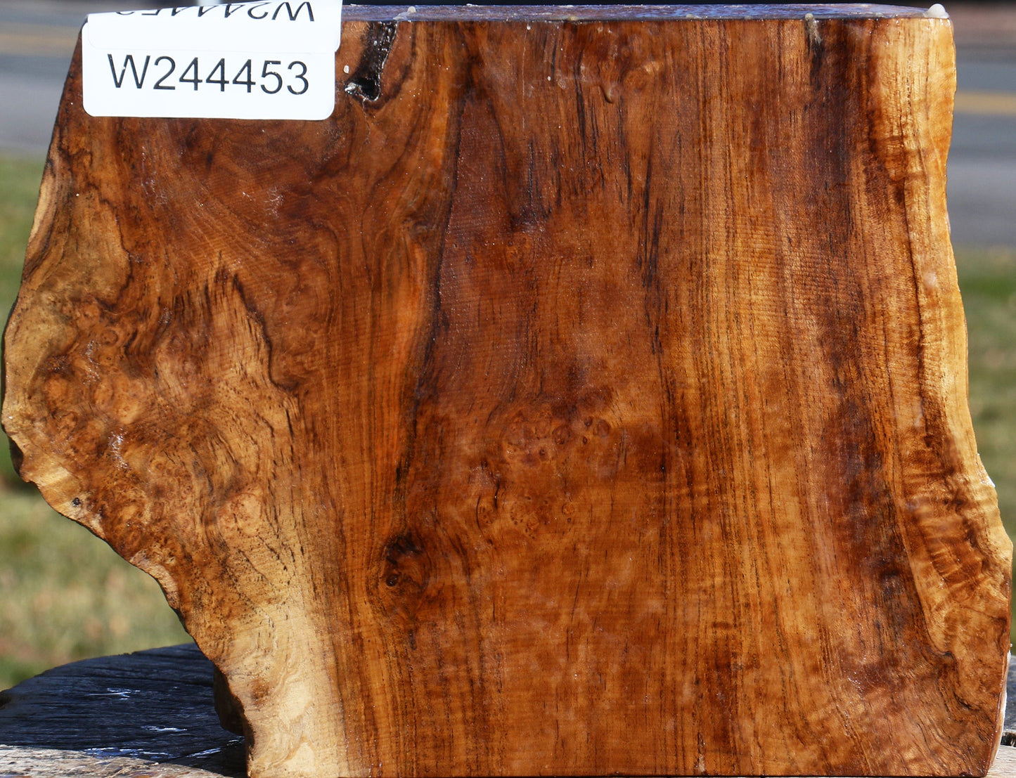 Extra Fancy Teak Live Edge Bowl Blank