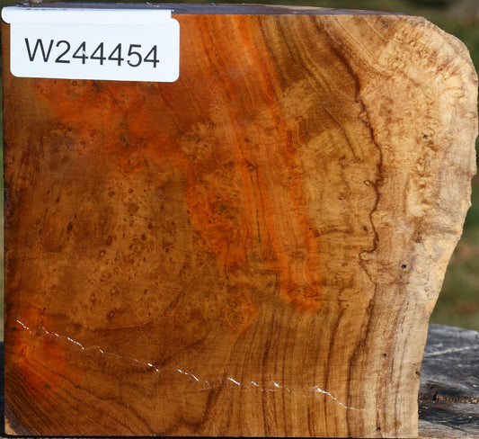 Teak Burl Live Edge Bowl Blank