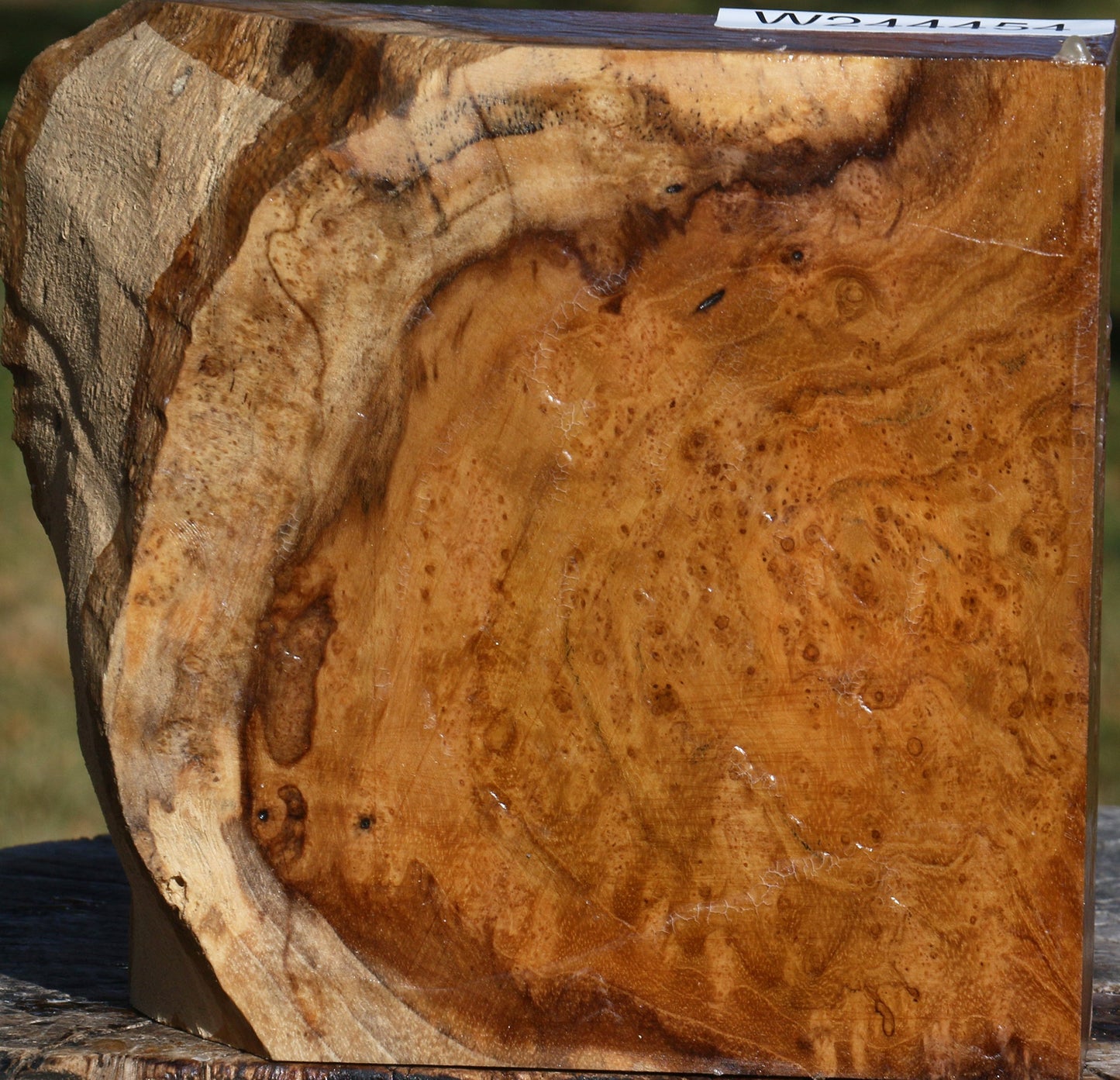 Teak Burl Live Edge Bowl Blank