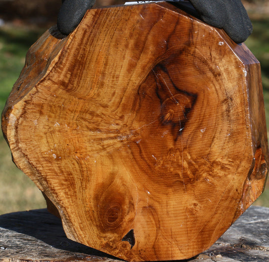 Extra Fancy Teak Live Edge Bowl Blank