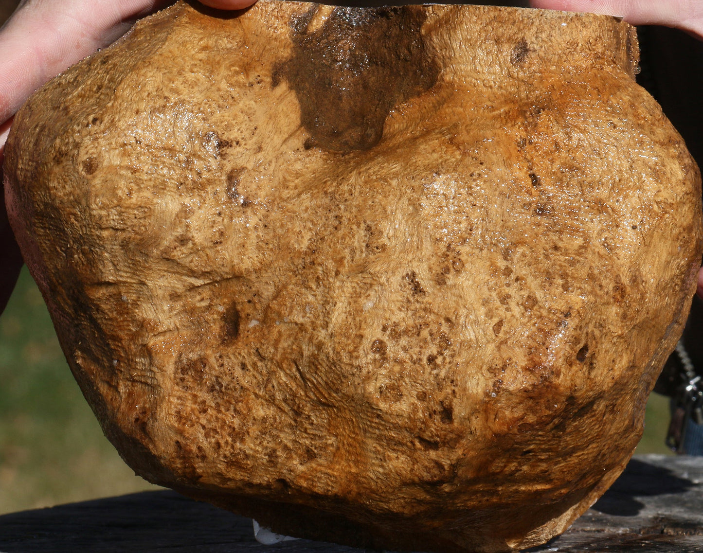 Teak Burl Cap