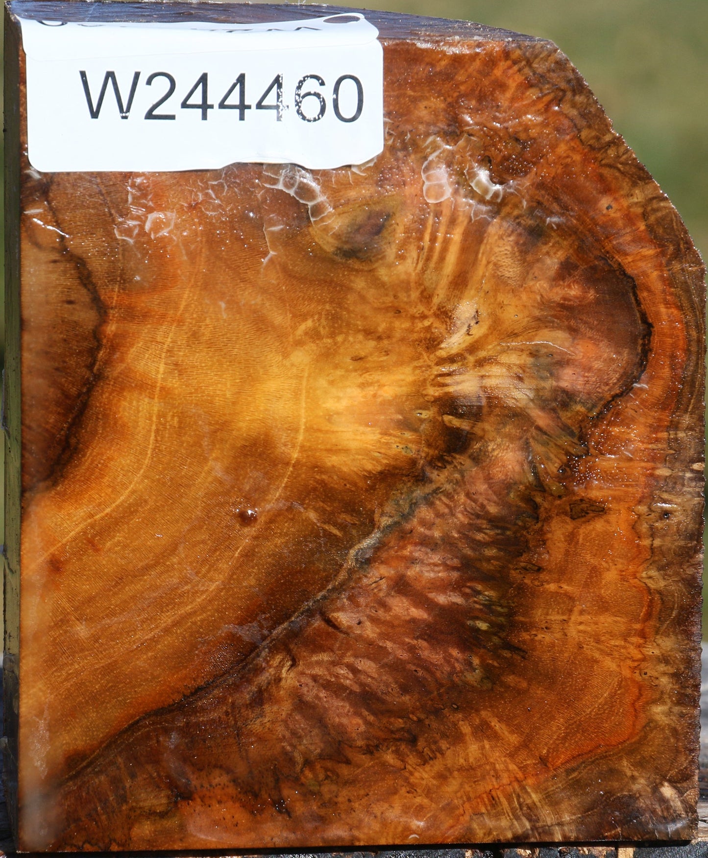 Figured Teak Live Edge Bowl Blank
