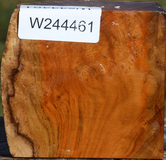 Extra Fancy Teak Live Edge Bowl Blank