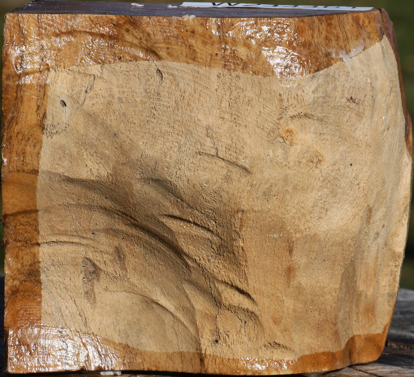 Extra Fancy Teak Live Edge Bowl Blank