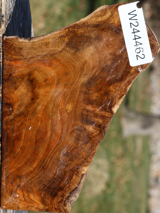 Extra Fancy Teak Live Edge Turning Blank