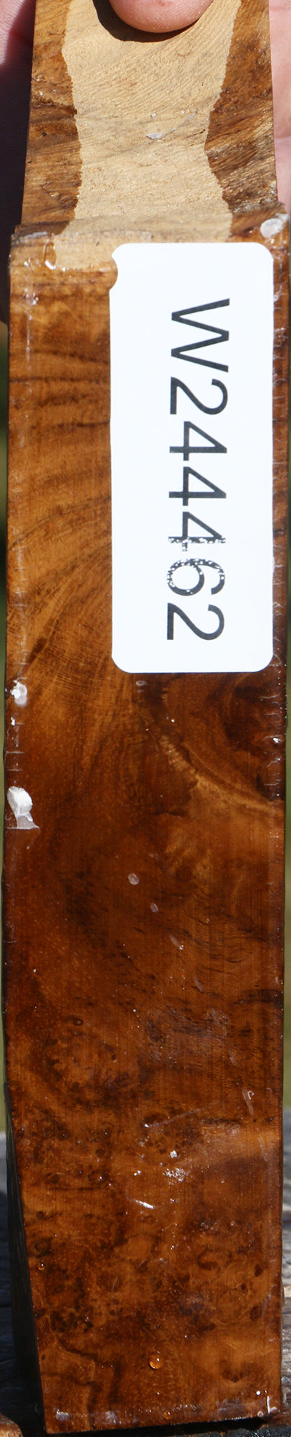 Extra Fancy Teak Live Edge Turning Blank