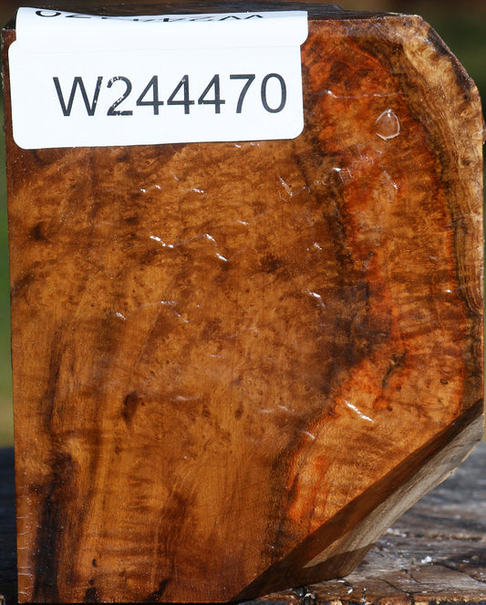 Extra Fancy Teak Live Edge Bowl Blank