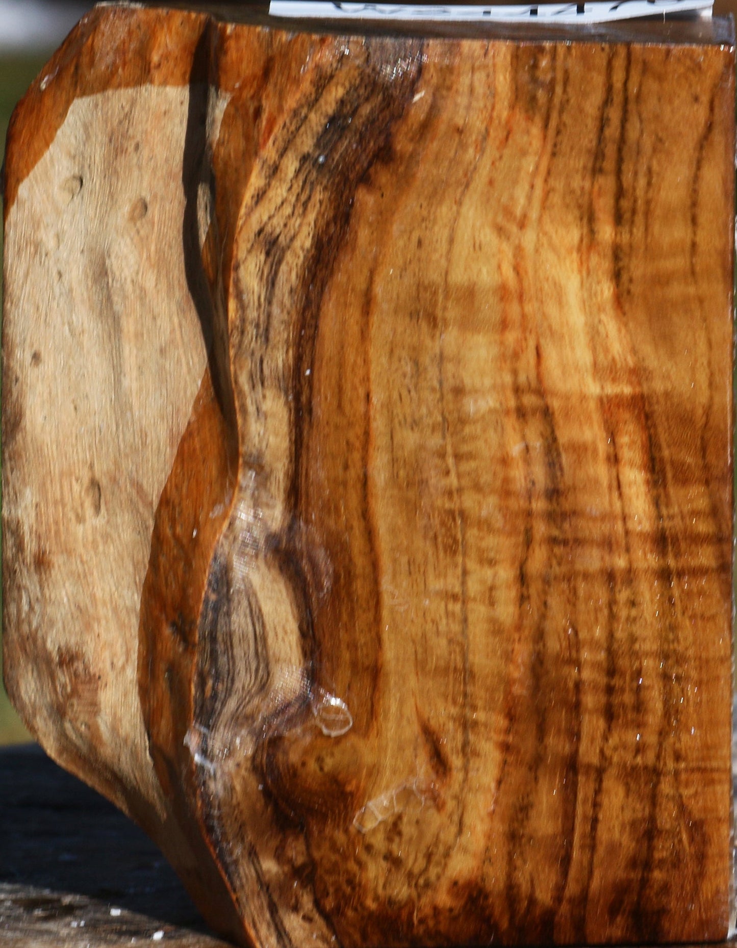 Extra Fancy Teak Live Edge Bowl Blank