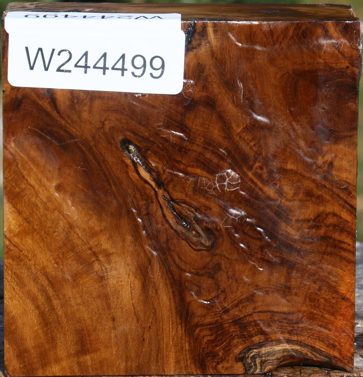 Extra Fancy Teak Bowl Blank