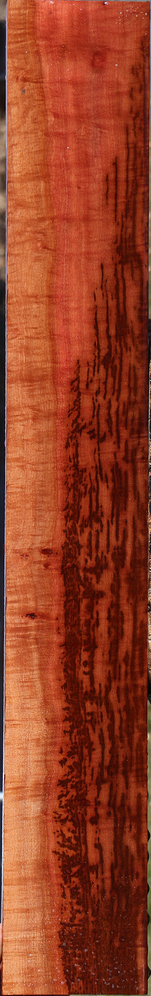 Exhibition Jackalberry Lumber