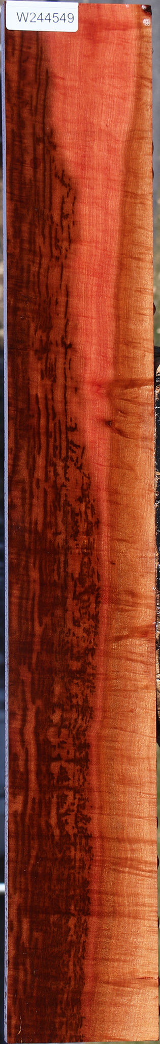 Exhibition Jackalberry Lumber