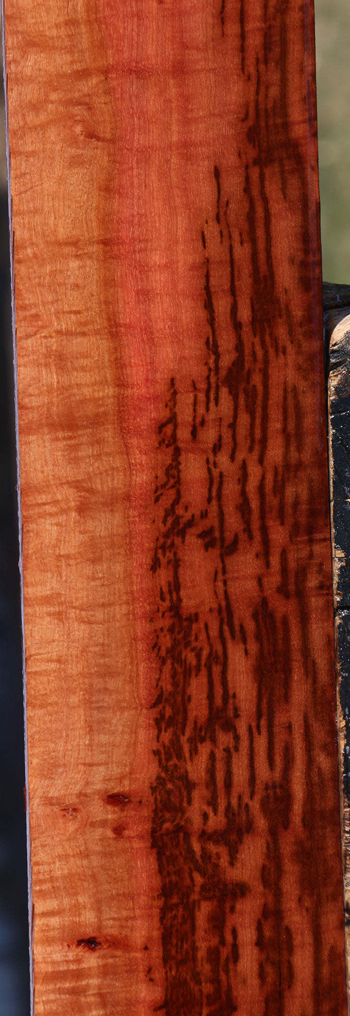 Exhibition Jackalberry Lumber